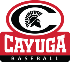 Conference, Regional Awards Roll in for Spartans&nbsp;