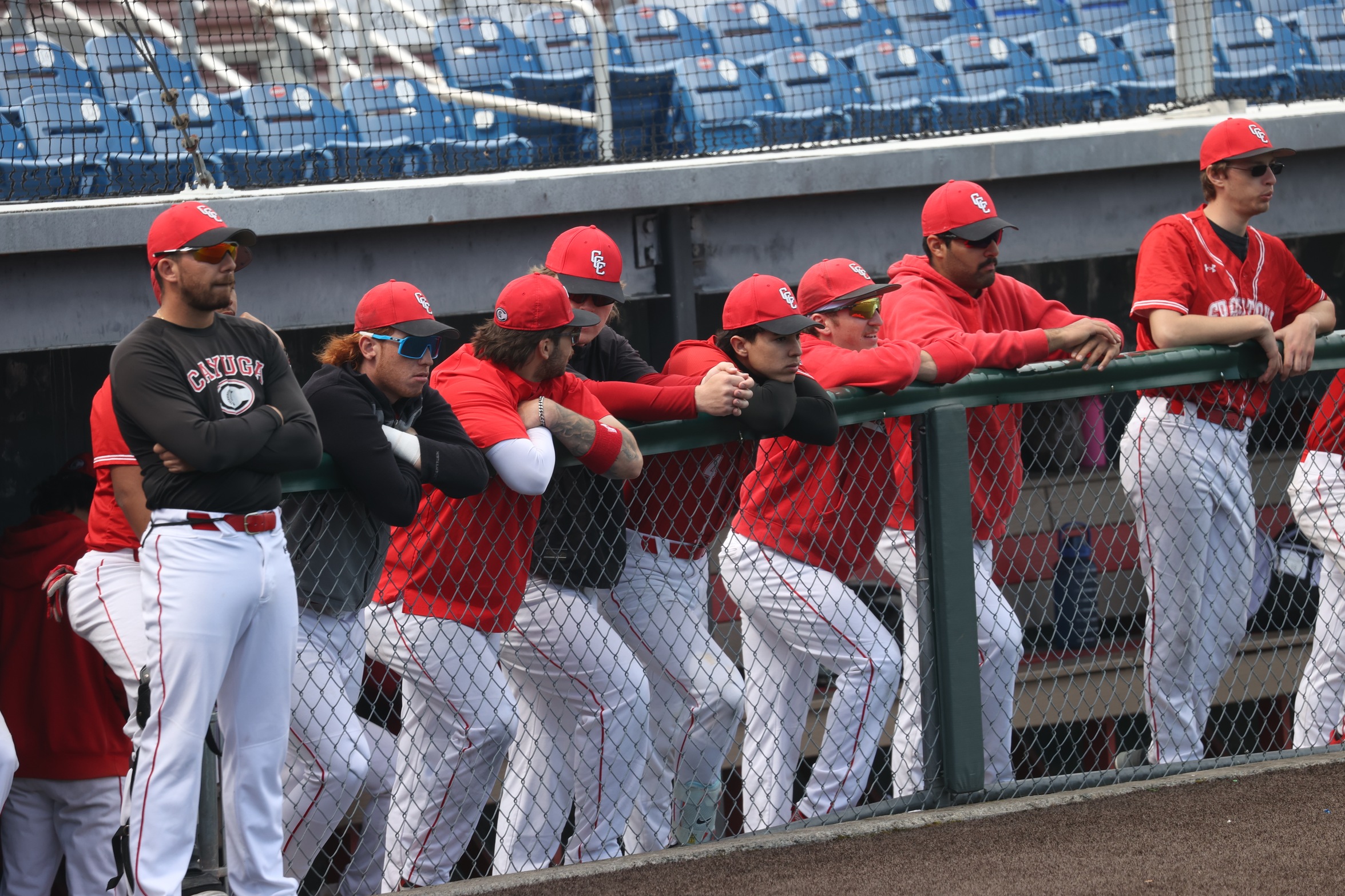 The Cayuga Baseball team waits in the dugout.